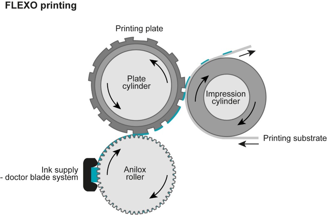 Flexography 101 The Flexo Printing Process Explained